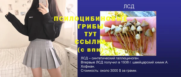 соль ск Заволжье