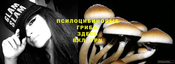 mdma Зеленодольск