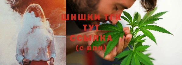 стаф Зерноград