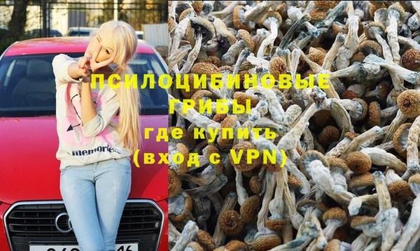 спайс Зеленокумск