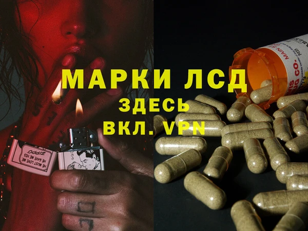 соль ск Заволжье