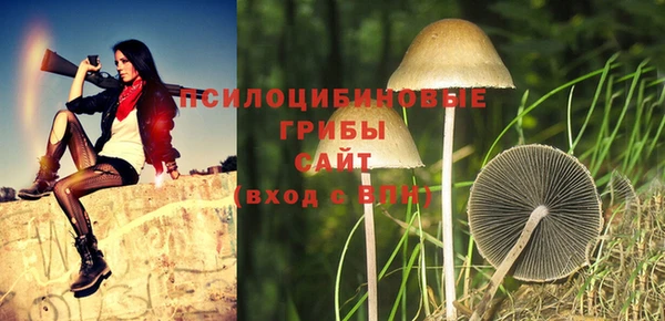 соль ск Заволжье