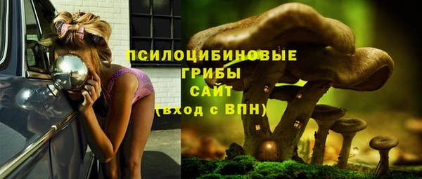 СК Заводоуковск