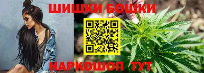 a pvp Кингисепп