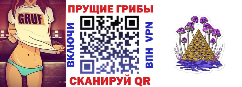 Псилоцибиновые грибы Psilocybine cubensis  Касимов 