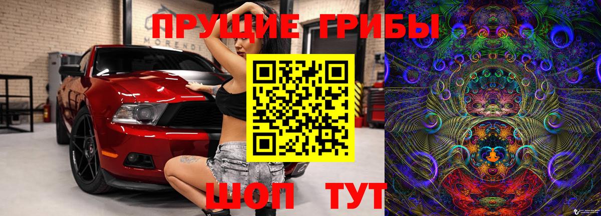 Касимов  Галлюциногенные грибы прущие грибы  Вход с VPN 