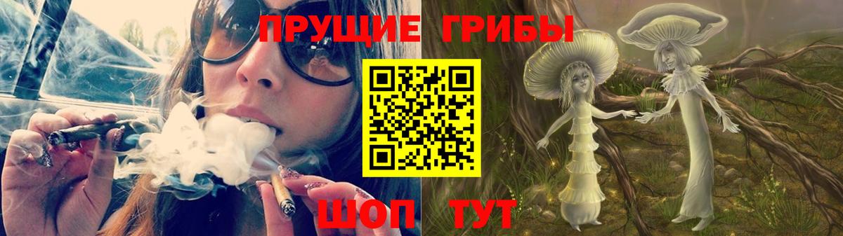 Псилоцибиновые грибы мицелий Касимов